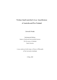 Thesis Front Matter