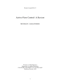 Active Flow Control: a Review