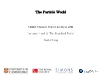The Particle World