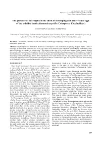 The Presence of Micropyles in the Shells of Developing and Undeveloped Eggs of the Ladybird Beetle Harmonia Axyridis (Coleoptera: Coccinellidae)