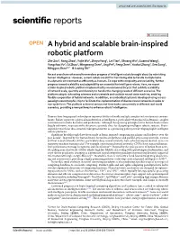 A Hybrid and Scalable Brain-Inspired Robotic Platform