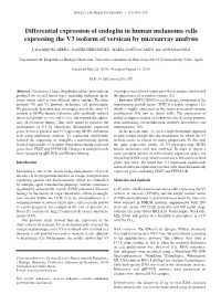 Differential Expression of Endoglin in Human Melanoma Cells Expressing the V3 Isoform of Versican by Microarray Analysis