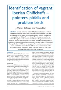 Identification of Vagrant Iberian Chiffchaffs – Pointers, Pitfalls and Problem Birds J