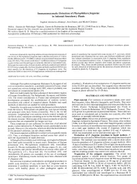 Immunoenzymatic Detection of Phytophthorafragariae in Infected Strawberry Plants