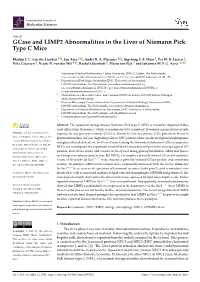 Gcase and LIMP2 Abnormalities in the Liver of Niemann Pick Type C Mice