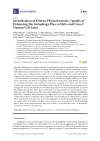 Identification of Dietary Phytochemicals Capable Of