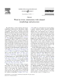 Wood in Rivers: Interactions with Channel Morphology and Processes