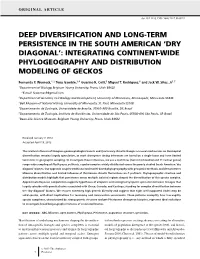 Deep Diversification and Long-Term Persistence in the South American ‘Dry Diagonal’: Integrating Continent-Wide Phylogeography and Distribution Modeling of Geckos