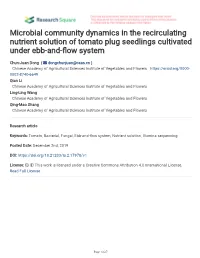 Microbial Community Dynamics in the Recirculating Nutrient Solution of Tomato Plug Seedlings Cultivated Under Ebb-And-Fow System