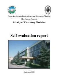Self-Evaluation Report