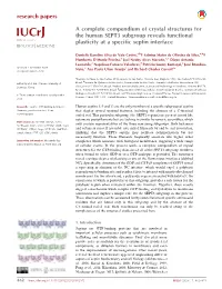 A Complete Compendium of Crystal Structures for the Human SEPT3 Subgroup Reveals Functional Plasticity at a Specific Septin Inte