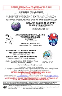 Whippet Weekend Extravaganza