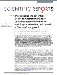 Investigating the Potential Use of an Antarctic Variant of Janthinobacterium Lividum for Tackling Antimicrobial Resistance in A