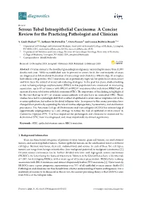 Serous Tubal Intraepithelial Carcinoma: a Concise Review for the Practicing Pathologist and Clinician