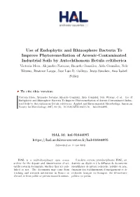 Use of Endophytic and Rhizosphere Bacteria to Improve