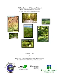 A Classification of Riparian Wetland Plant Associations of Colorado a Users Guide to the Classification Project
