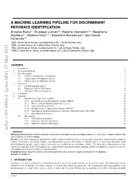 A Machine Learning Pipeline for Discriminant Pathways Identification