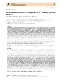 Automated Telemetry Reveals Staging Behavior in a Declining Migratory Passerine