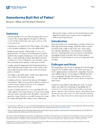 Ganoderma Butt Rot of Palms1 Monica L