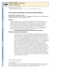 The Bacterial Cytoskeleton: More Than Twisted Filaments