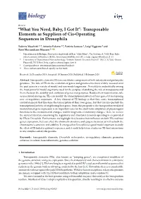 “What You Need, Baby, I Got It”: Transposable Elements As Suppliers of Cis-Operating Sequences in Drosophila