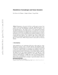 Simulation of Morphogen and Tissue Dynamics