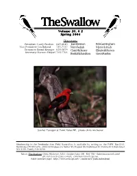 The Swallow the Swallow the Swallow The