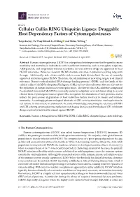Cellular Cullin RING Ubiquitin Ligases: Druggable Host Dependency Factors of Cytomegaloviruses