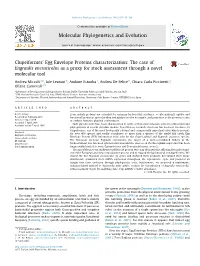 Clupeiformesâ€™ Egg Envelope Proteins Characterization: the Case