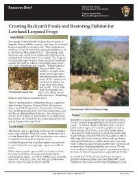 Creating Backyard Ponds and Restoring