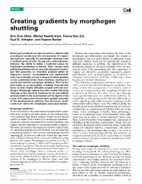 Creating Gradients by Morphogen Shuttling