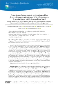 First Evidence of a Spawning Site of the Endangered Fish Brycon