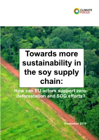 Towards More Sustainability in the Soy Supply Chain: How Can EU Actors Support Zero- Deforestation and SDG Efforts?