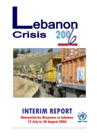 Interim Report on Humanitarian Response