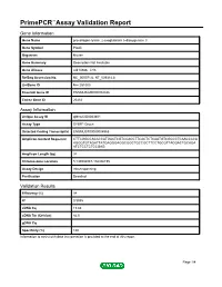 Primepcr™Assay Validation Report
