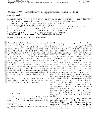 A Hypergiant with Pulsar Companion