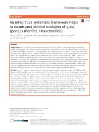 An Integrative Systematic Framework Helps to Reconstruct Skeletal
