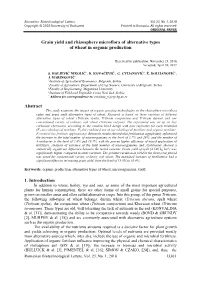 Grain Yield and Rhizosphere Microflora of Alternative Types of Wheat in Organic Production