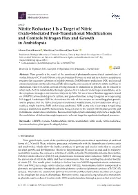 Nitrite Reductase 1 Is a Target of Nitric Oxide-Mediated Post-Translational Modiﬁcations and Controls Nitrogen Flux and Growth in Arabidopsis