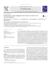 Recapitulating Cranial Osteogenesis with Neural Crest Cells in 3-D