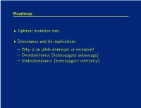 Roadmap • Optimal Mutation Rate • Dominance and Its Implications