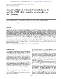 Elongation Factor G-Induced Structural Change in Helix 34 of 16S Rrna Related to Translocation on the Ribosome