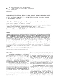 (Cytotype 2N = 42) (Phyllostomidae, Stenodermatinae) in the Brazilian Amazon