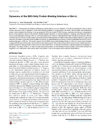 Dynamics of the BH3-Only Protein Binding Interface of Bcl-Xl