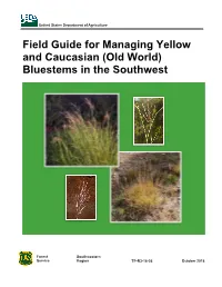 Field Guide for Managing Yellow and Caucasian (Old World) Bluestems in the Southwest