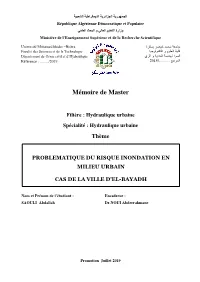 Mémoire De Master