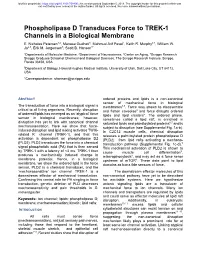 Phospholipase D Transduces Force to TREK-1 Channels in a Biological Membrane E
