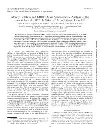 Affinity Isolation and I-DIRT Mass Spectrometric Analysis of The