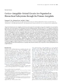 Cortico–Amygdala–Striatal Circuits Are Organized As Hierarchical Subsystems Through the Primate Amygdala