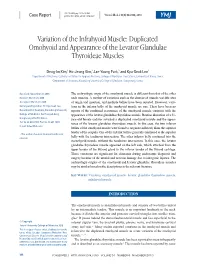 Variation of the Infrahyoid Muscle: Duplicated Omohyoid and Appearance of the Levator Glandulae Thyroideae Muscles